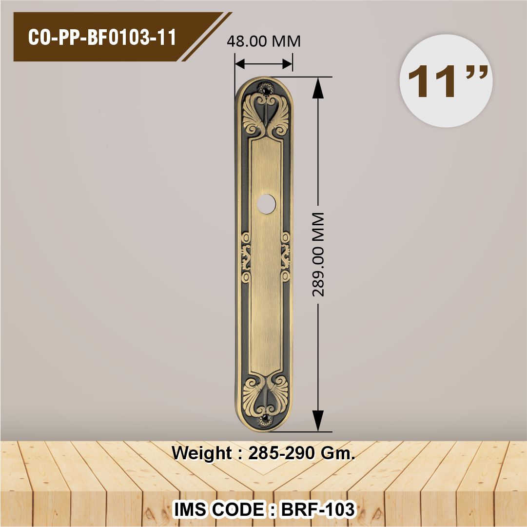 CO-PP-BF 0103-11