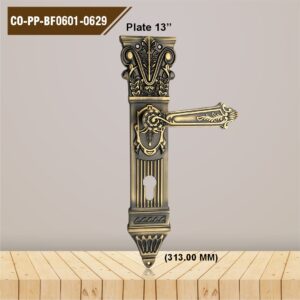 CO-PP-BF0601-0629