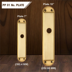 PP 01 No. Plate