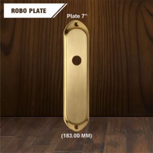 ROBO Plate