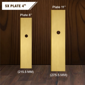 5X Plate