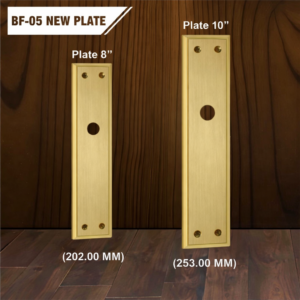 BF-05 Plate