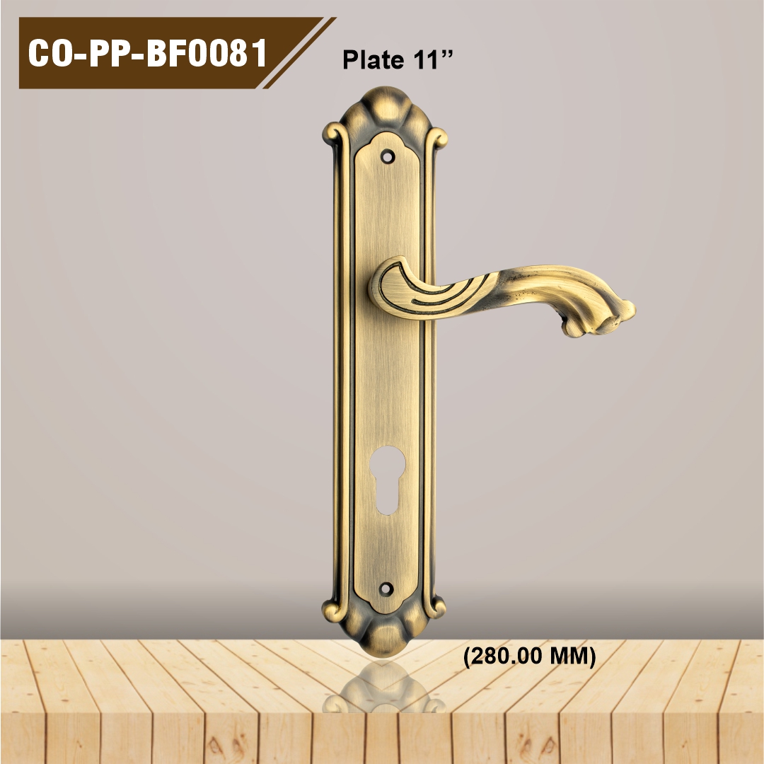 CO-PP-BF0081