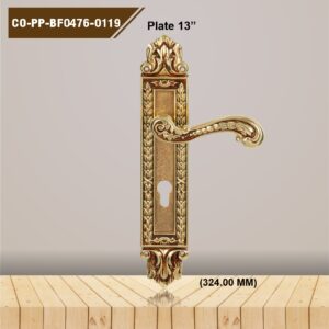 CO-PP-BF0476-0119