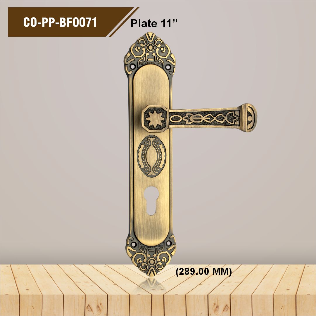 CO-PP-BF 0071