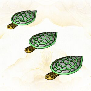 Spiritual Turtle